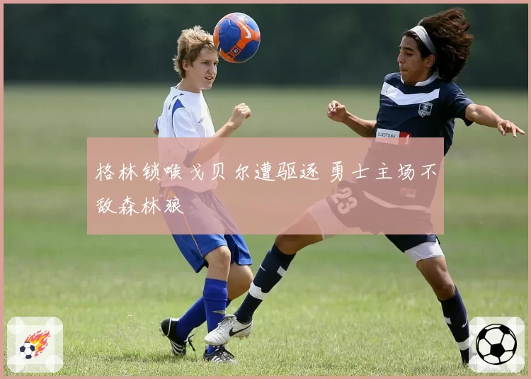 格林锁喉戈贝尔遭驱逐 勇士主场不敌森林狼